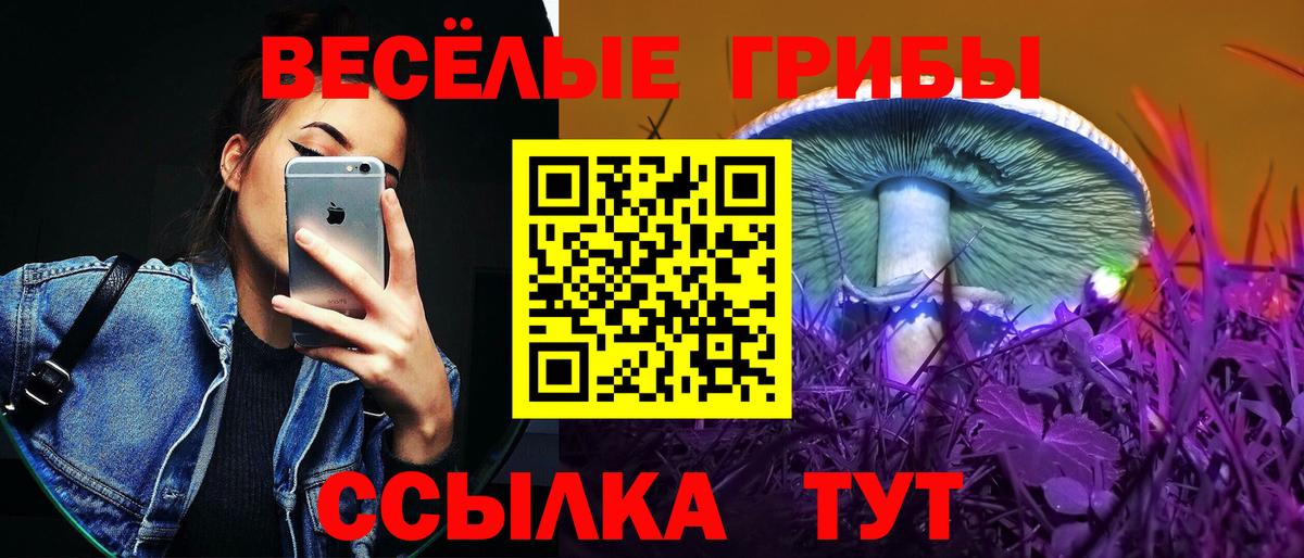 Алапаевск  Псилоцибиновые грибы Psilocybe  Вход с VPN 
