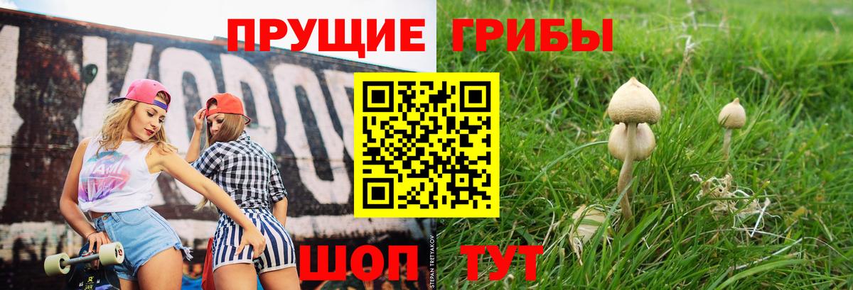 Галлюциногенные грибы GOLDEN TEACHER Алапаевск